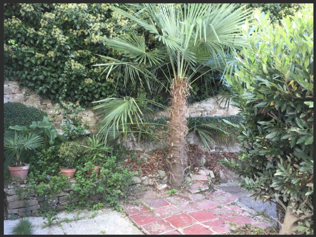 La Casa De Sophie T3 Avec Jardinet, Parking Prive - Port De ואנה מראה חיצוני תמונה