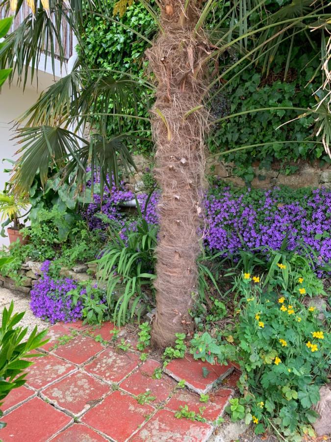 La Casa De Sophie T3 Avec Jardinet, Parking Prive - Port De ואנה מראה חיצוני תמונה